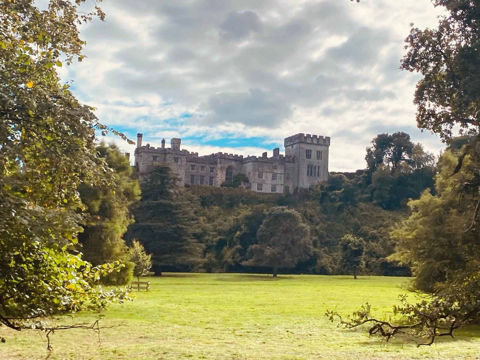 An Irish castle glimpsed through trees, beyond an open meadow